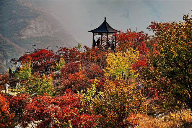 坡峰岭红叶风景区1